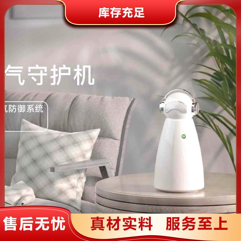 小白孕妇空气守护机车载空气净化器销售热线真材实料加工定制