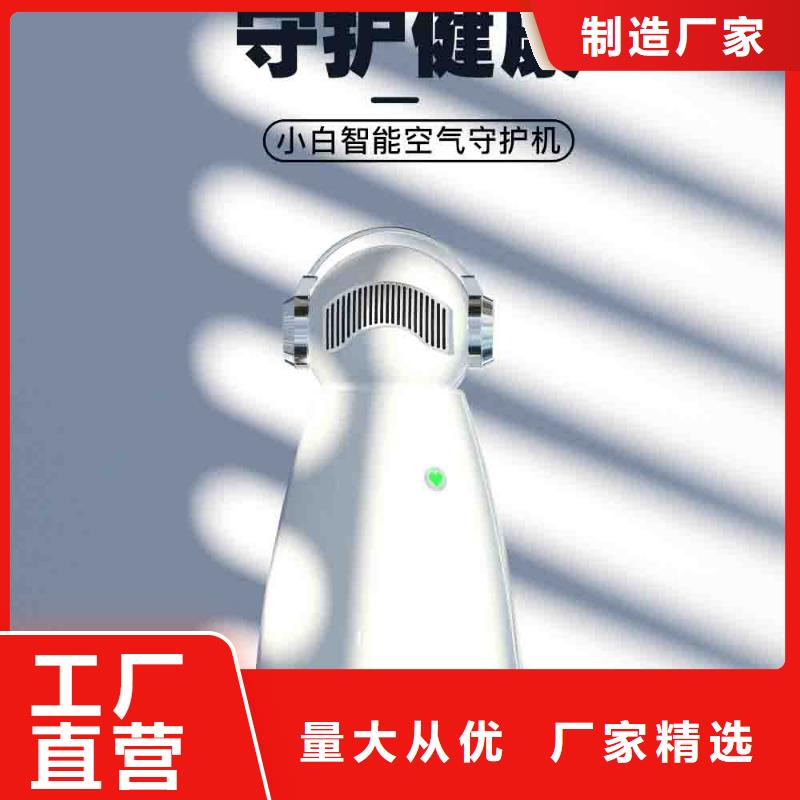 小白空气守护机-车载空气净化器生产厂家主推产品