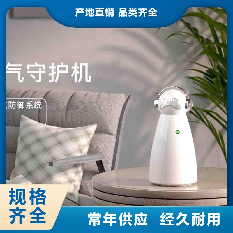 小白空气守护机空气净化器大厂一手货源