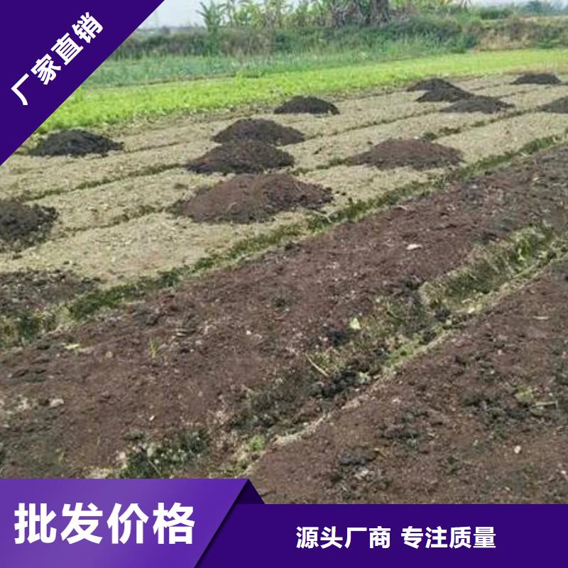 稻壳鸡粪园林苗圃肥沃土壤