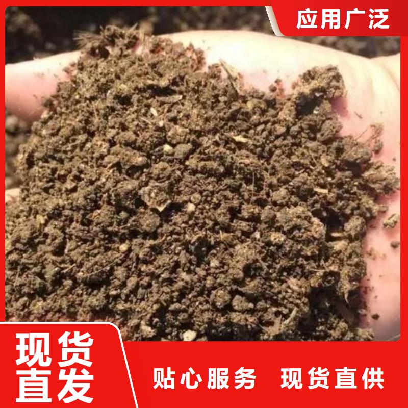 发酵鸡粪改良土壤