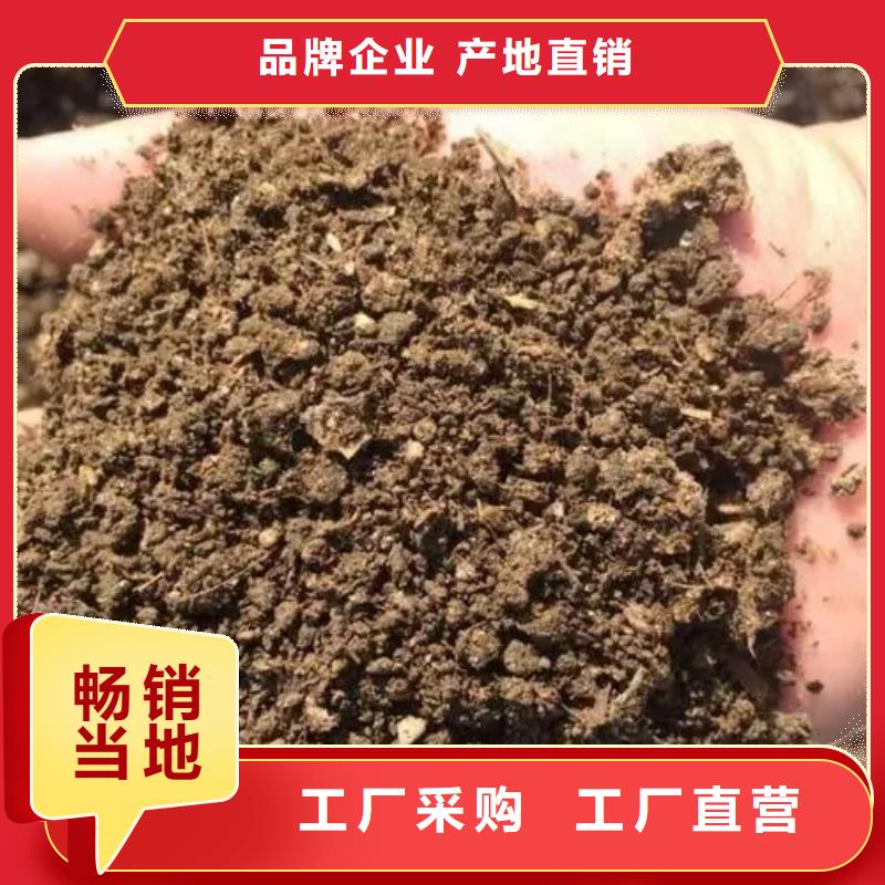 晒干鸡粪落地生根