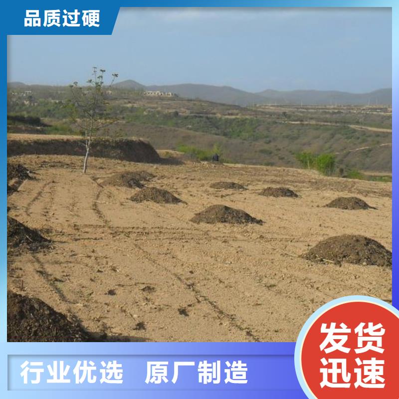 稻壳鸡粪改良土豆地土壤