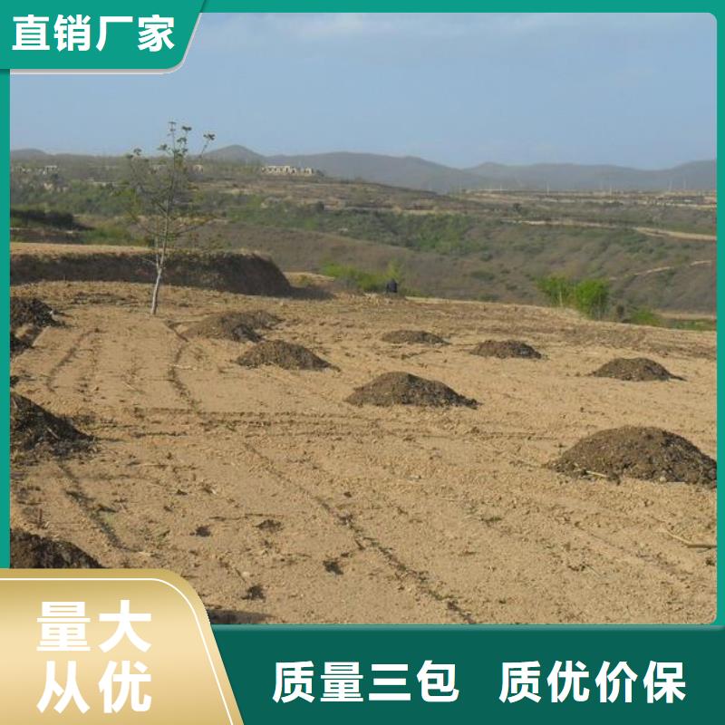 发酵鸡粪增加土壤养分