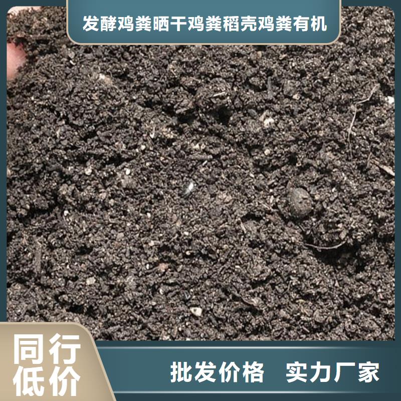 发酵鸡粪让黄瓜多收几茬
