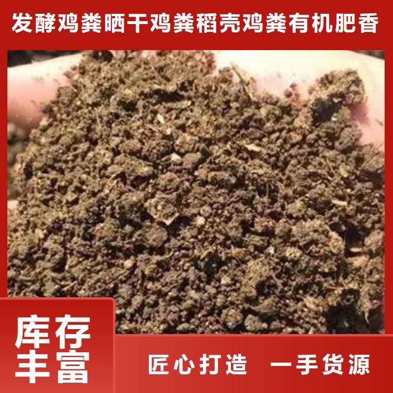 发酵鸡粪哪里有