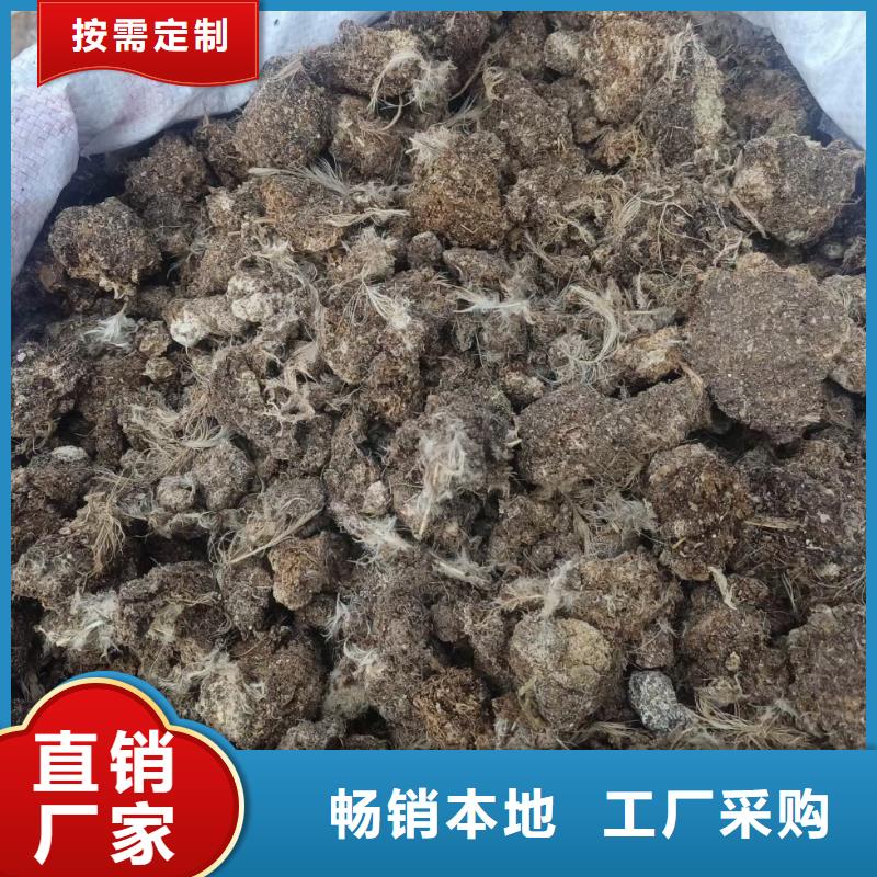 干鸡粪块好品质看的见