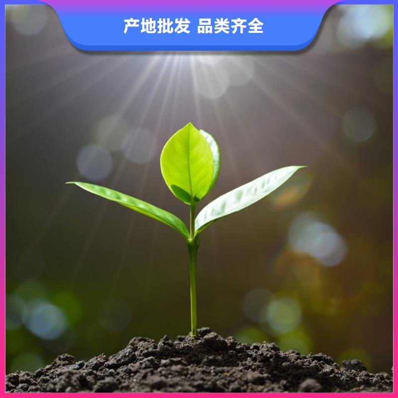 特别行政区晒干鸡粪有货