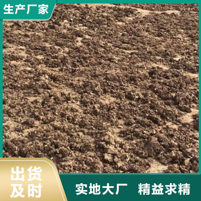 干鸡粪送货到家