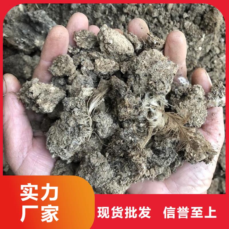 肥水鸡粪改善芹菜品质