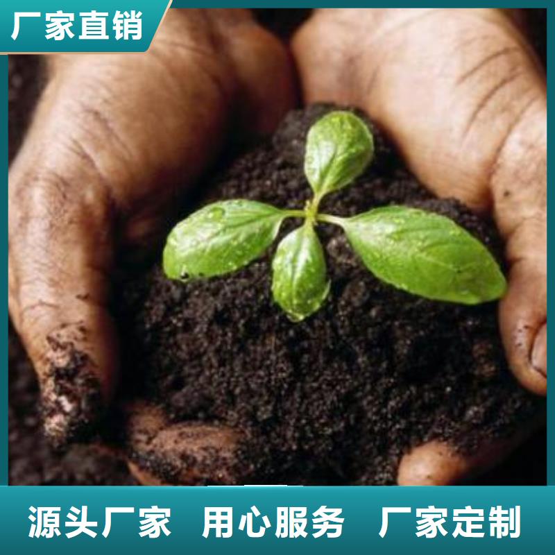 邯郸聊城济南干鸡粪哪里有卖的