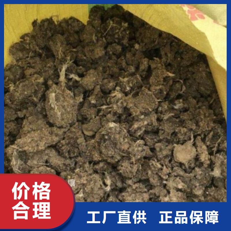 晒干鸡粪农民朋友的肥料