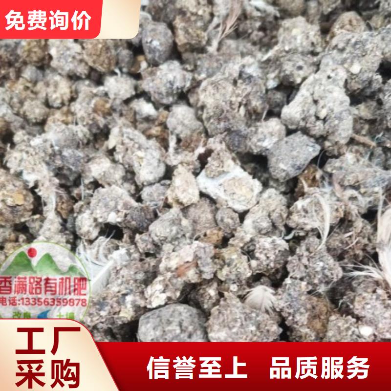 干鸡粪哪里有这种