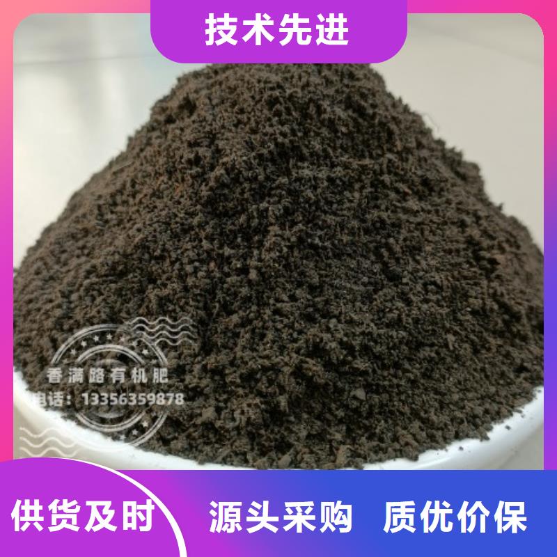 干鸡粪哪里有这种