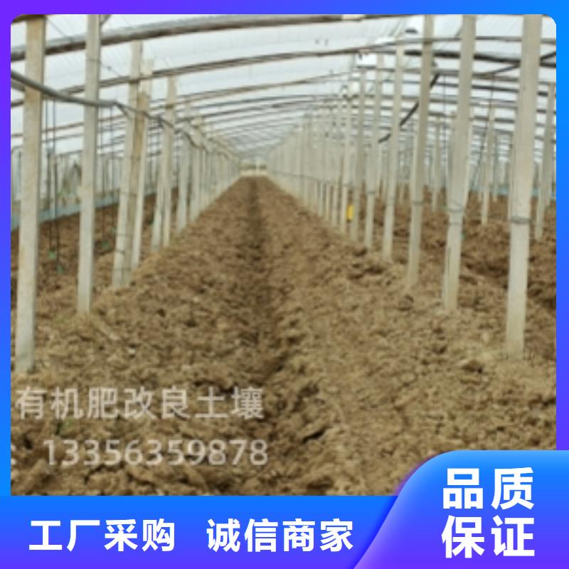 肥水鸡粪给力生态农业