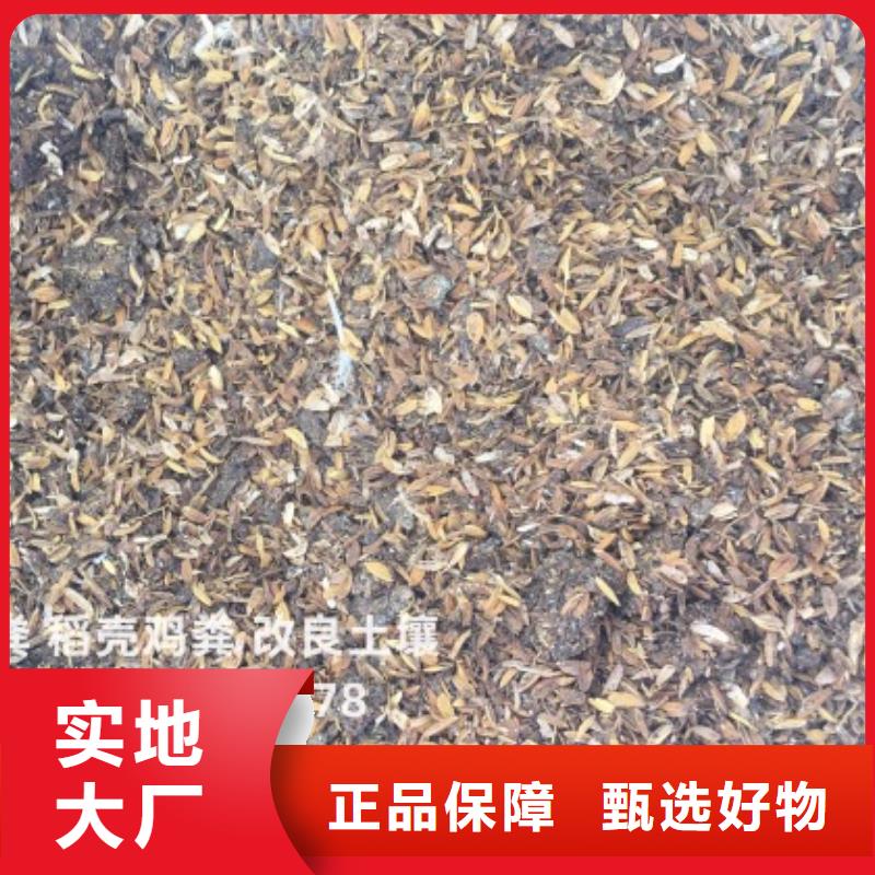 晒干鸡粪谁知道哪里有