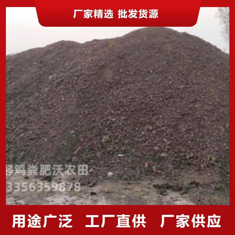 晒干鸡粪农民朋友的肥料