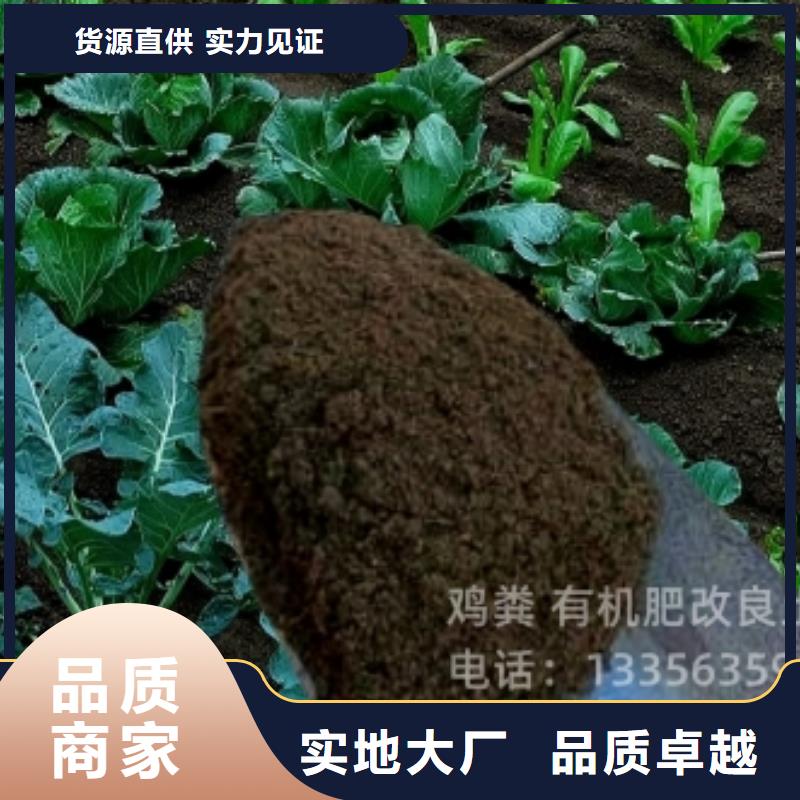 干鸡粪性价比高