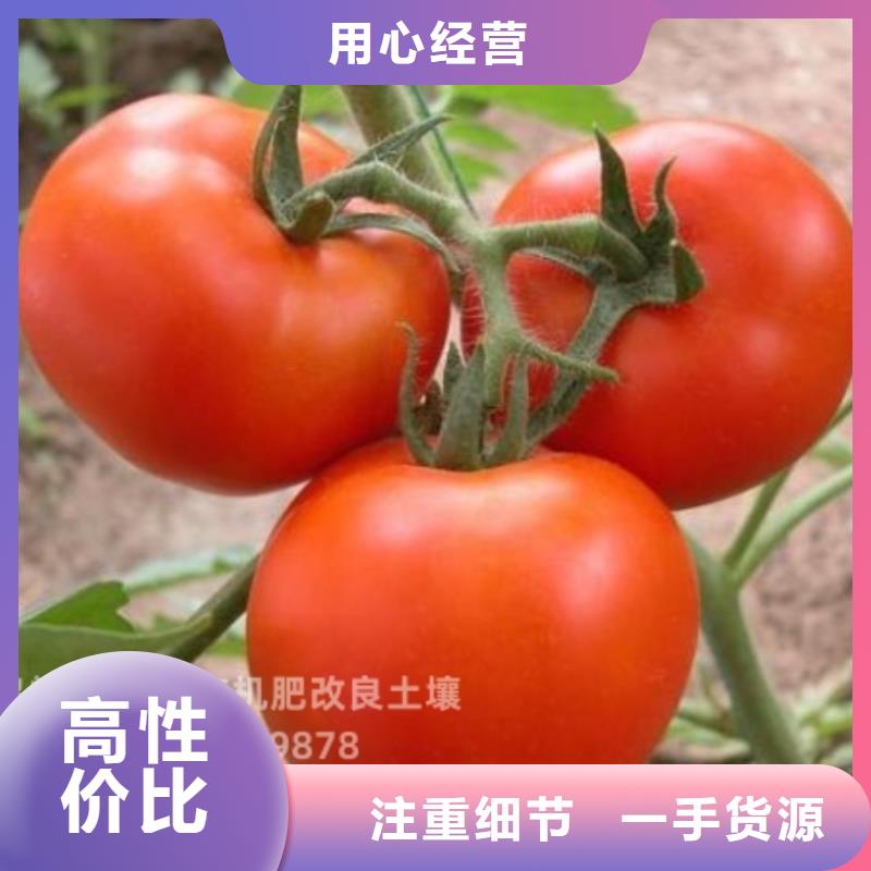 稻壳鸡粪常年发货