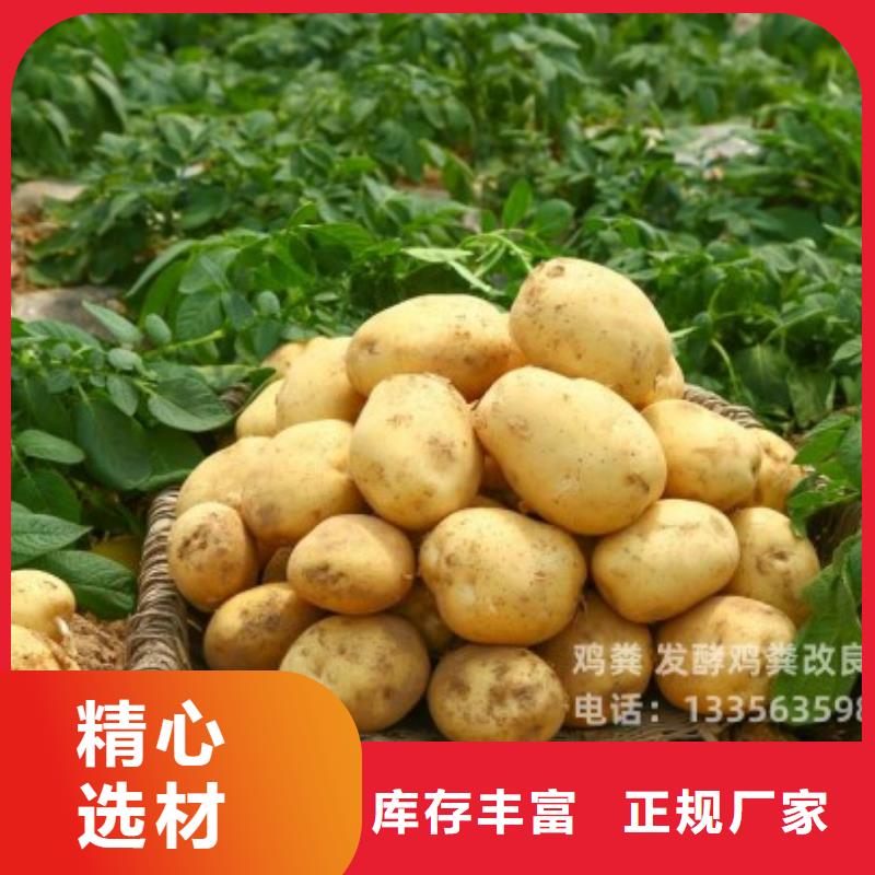 鸡粪自产自销-发酵鸡粪晒干鸡粪稻壳鸡粪有机肥香满路(济宁市分公司)