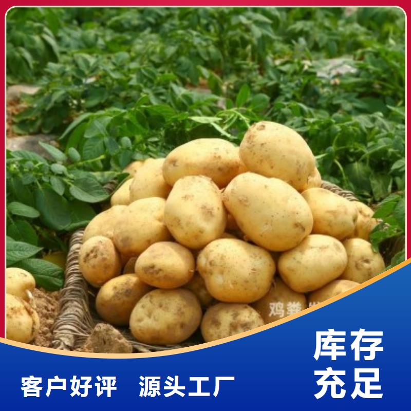 发酵鸡粪养田壮苗