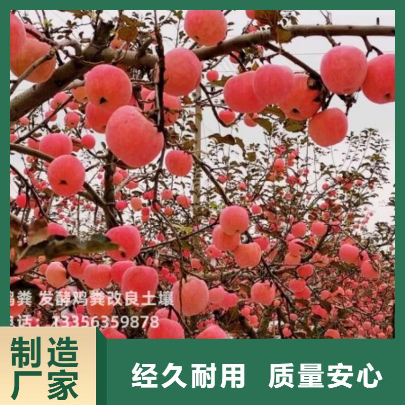 买鸡粪有机肥必看-服务优