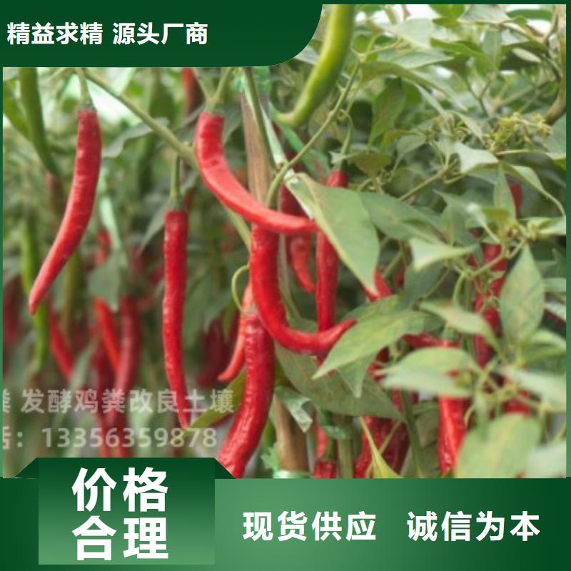 干鸡粪批发