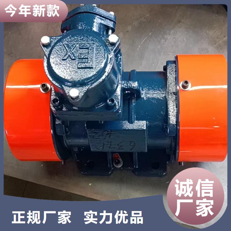 振动电机矿用振动筛厂家质量看得见