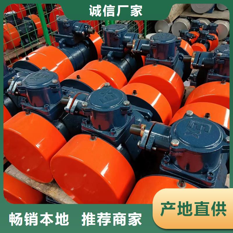 沛县TZD21-2C振动电机批发价格