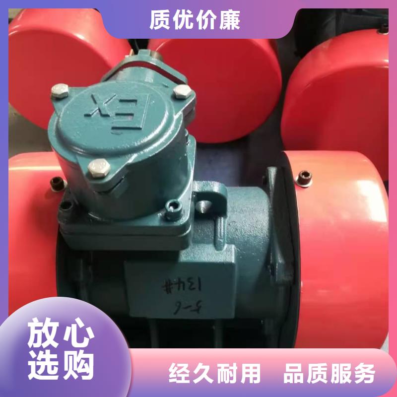 防爆振动电机-振动筛层层质检