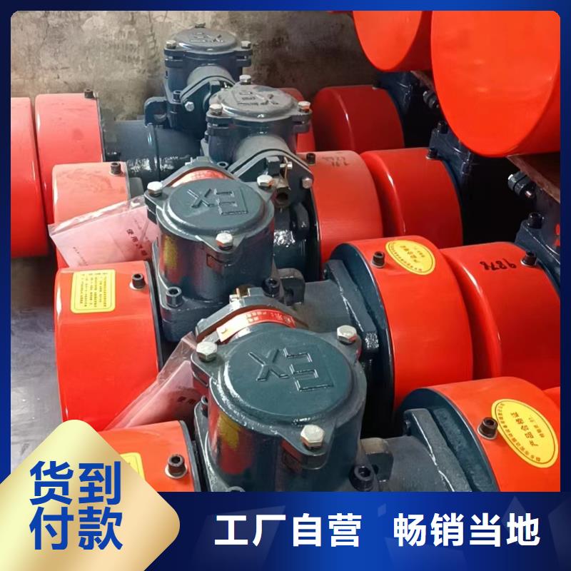 防爆振动电机品质无所畏惧