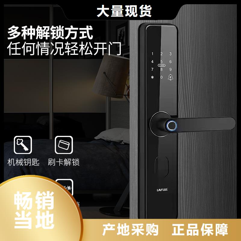 智能锁【人脸识别智能锁厂家】质量安全可靠