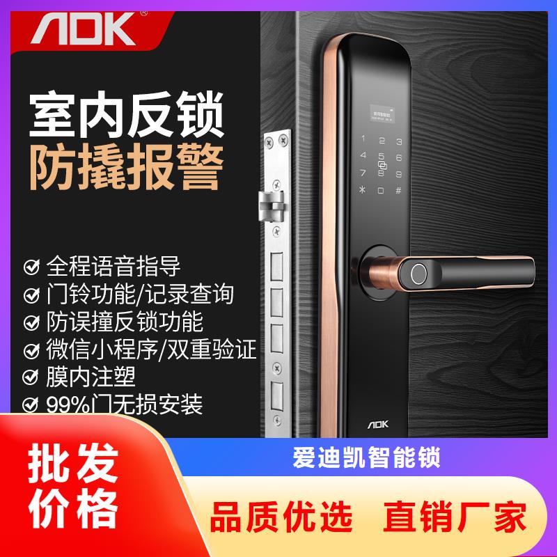 【智能锁】人脸识别智能锁厂一站式厂家