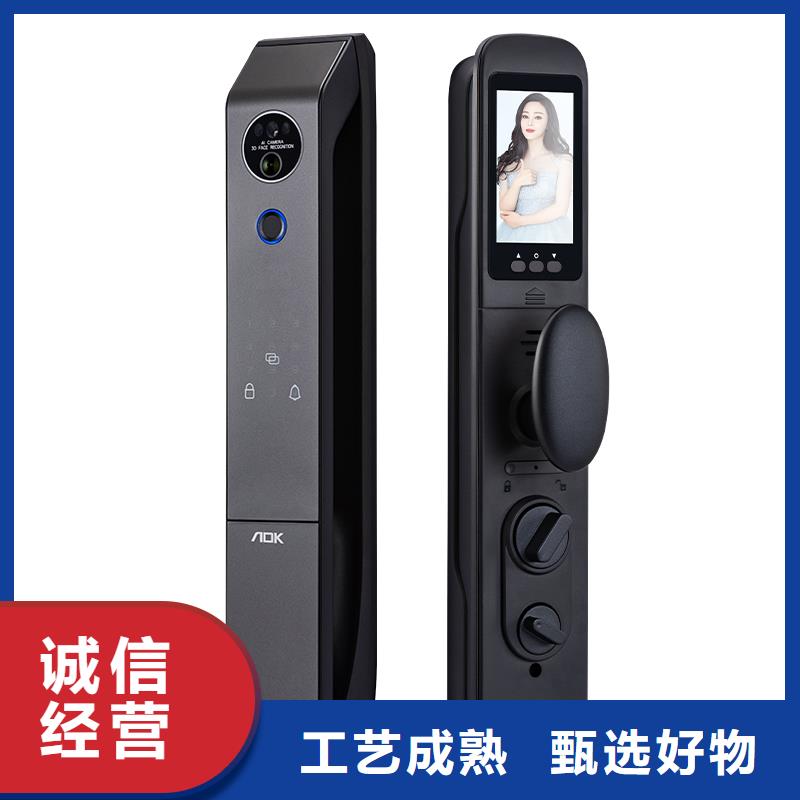 智能锁人脸识别智能锁厂家匠心打造