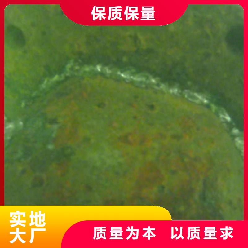 水下海生物清理免费报价