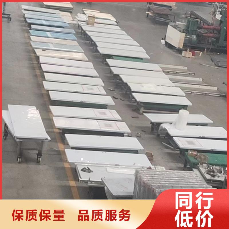 单扇平开铅门-实力厂家
