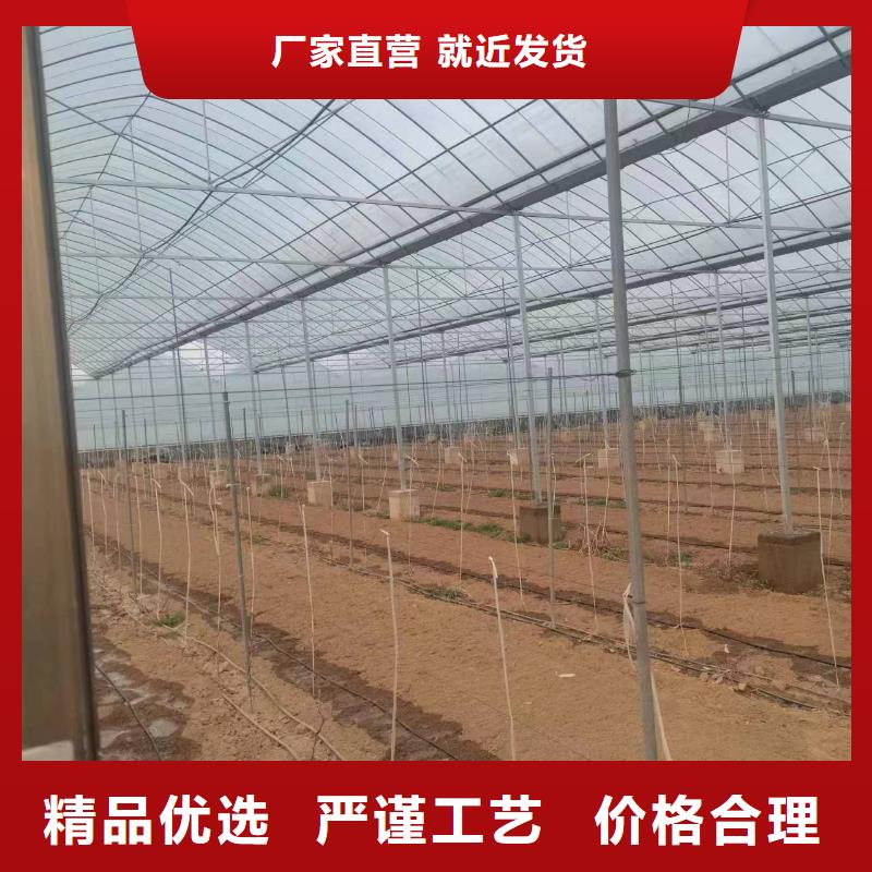 葡萄避雨棚热镀锌安装