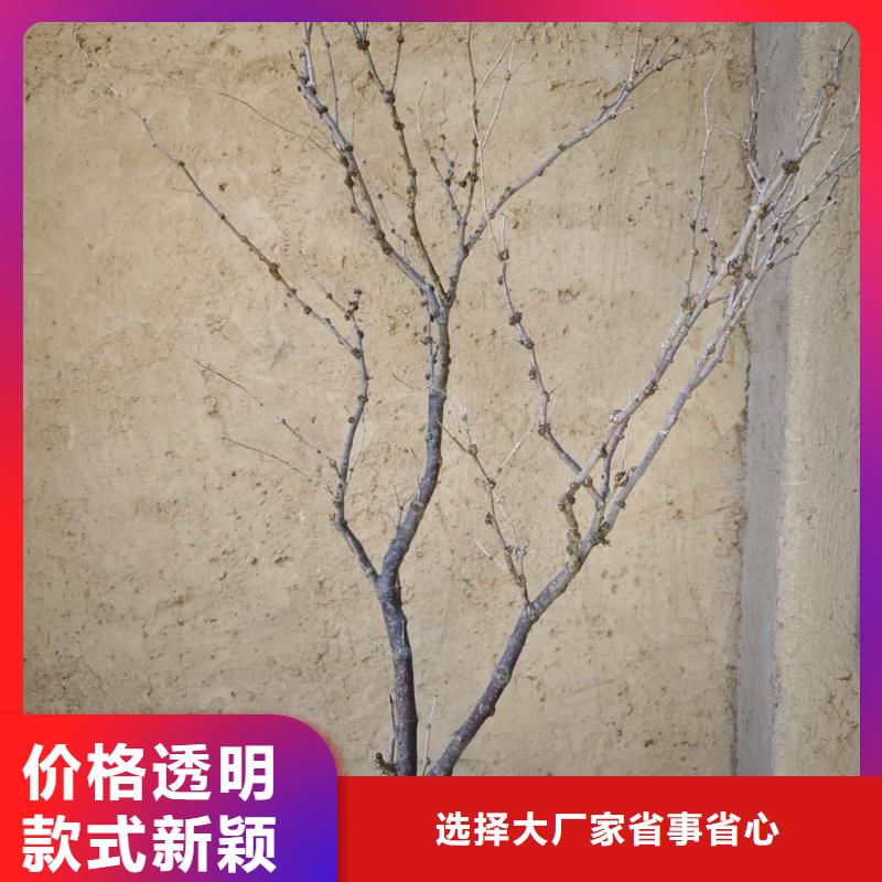 仿夯土墙稻草漆源头工厂，批发价，可施工