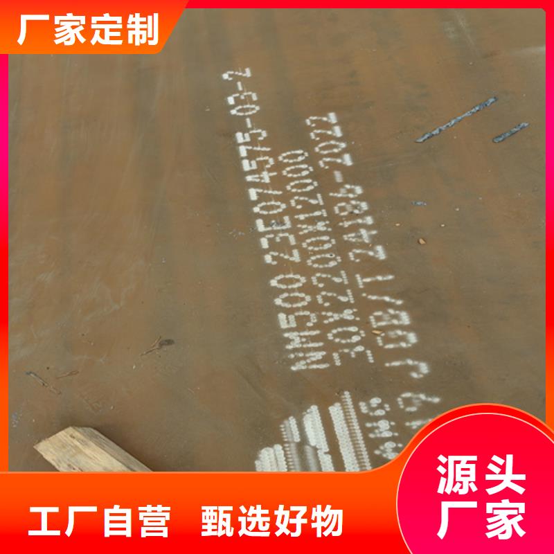 12个厚耐磨500钢板撕碎机刀片用