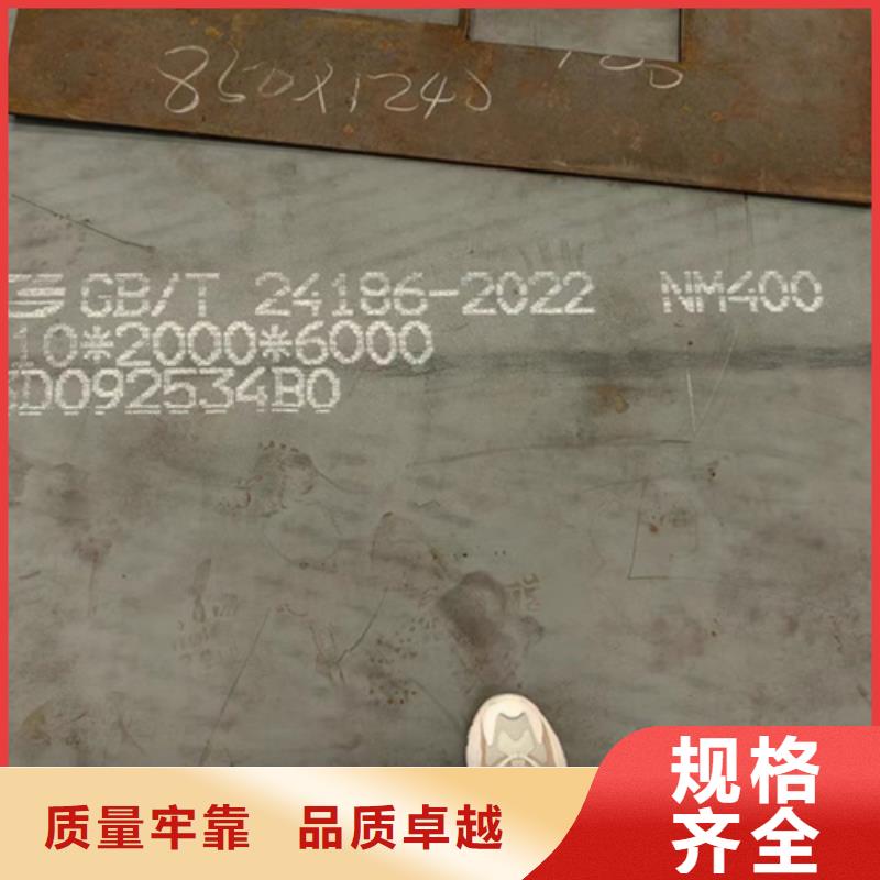 12个厚耐磨500钢板撕碎机刀片用
