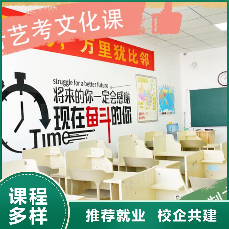 艺考文化课培训高三复读手把手教学