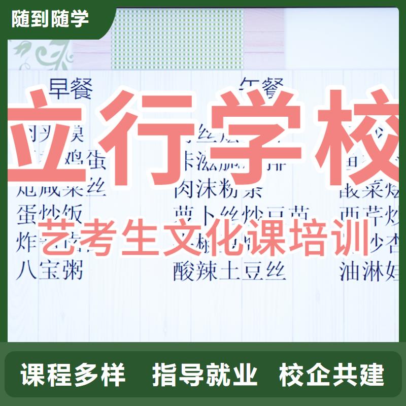 艺考文化课培训高三集训学真技术