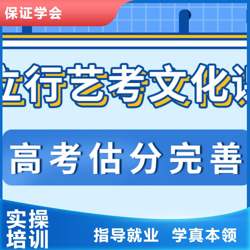 艺考文化课艺术生文化补习课程多样