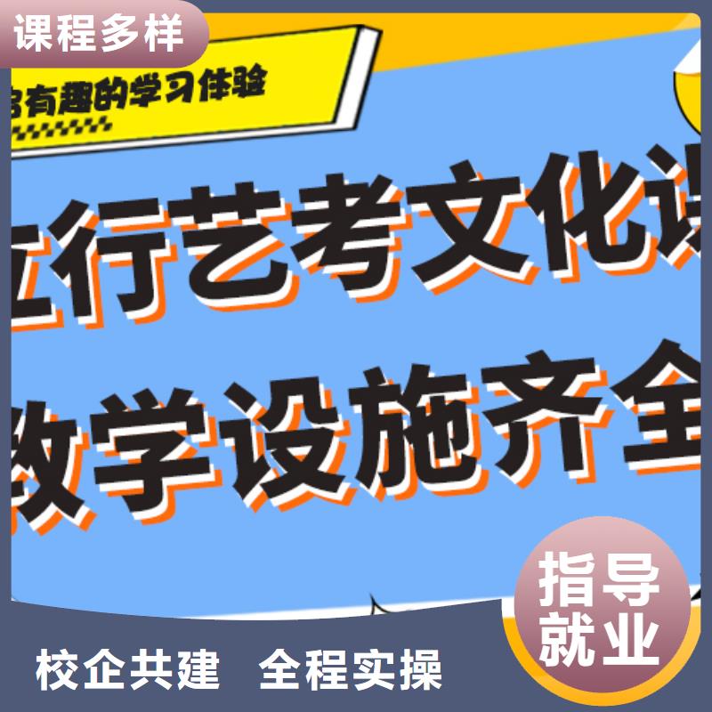 艺考文化课艺术生文化补习课程多样
