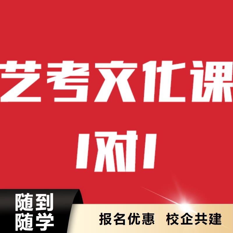 艺考文化课培训舞蹈艺考培训技能+学历