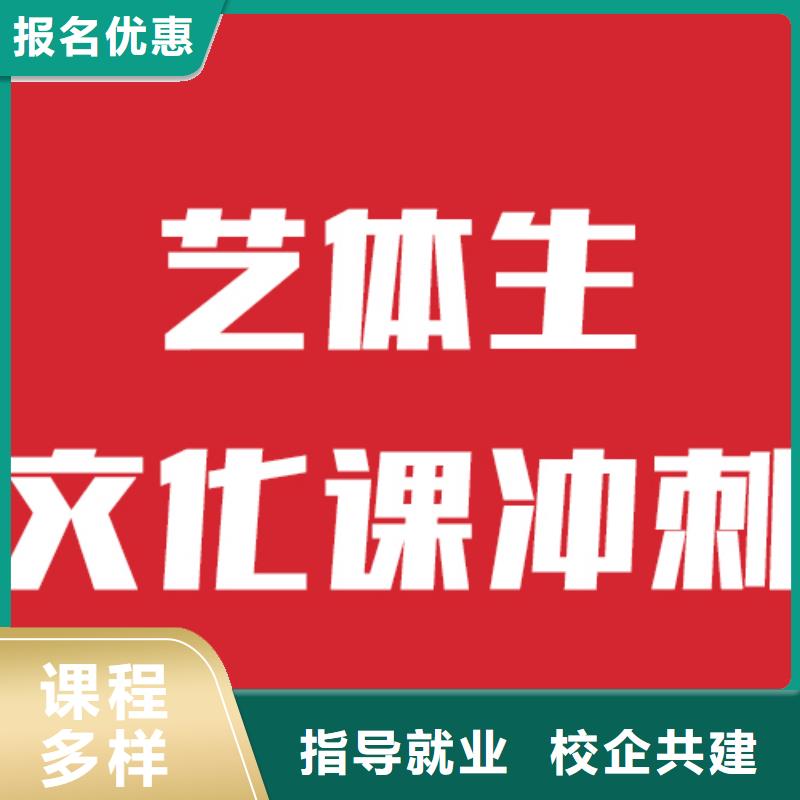 艺考文化课机构艺术生文化补习学真技术