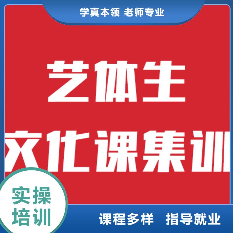 性价比高的艺考生文化课集训冲刺