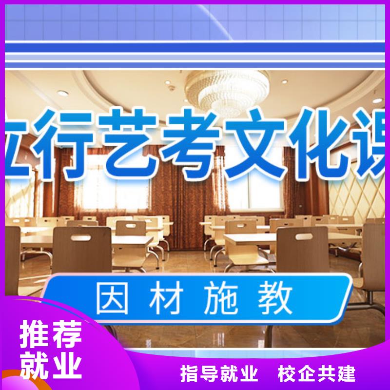 艺考生文化课培训补习有没有