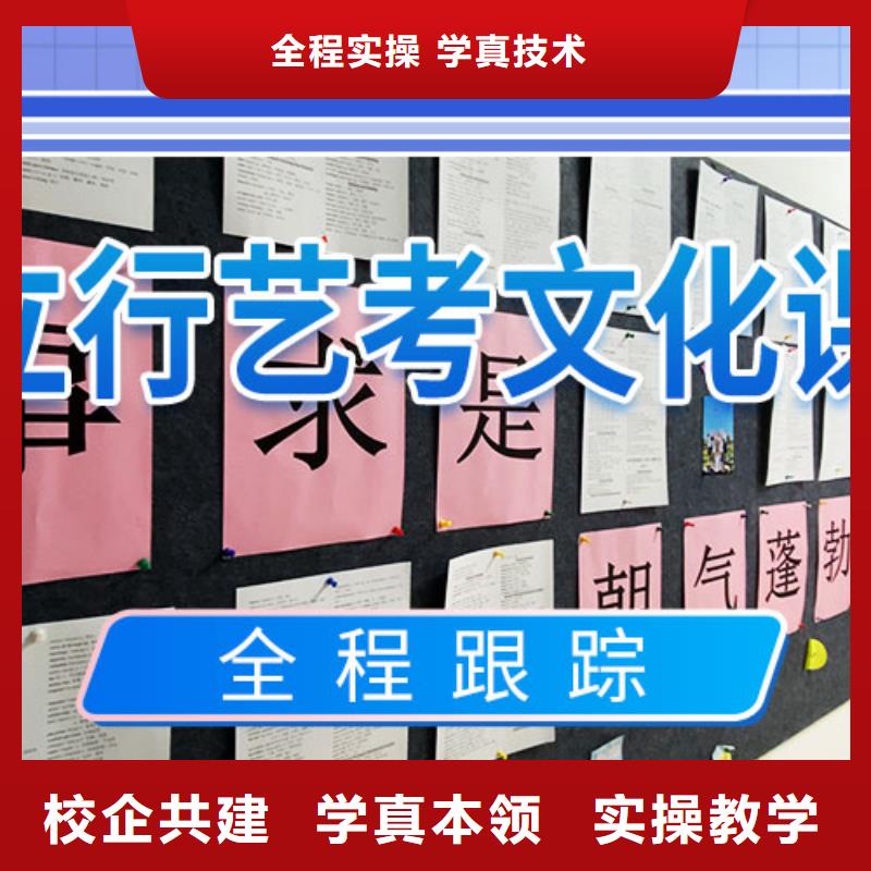 艺考生文化课培训机构有哪些