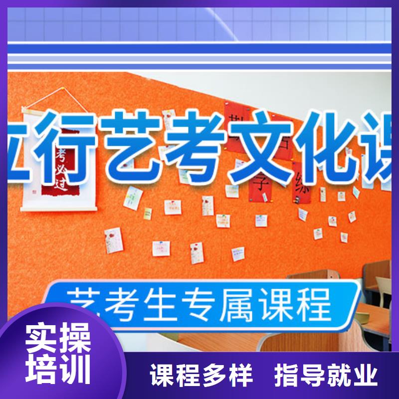 艺考生文化课培训机构有哪些